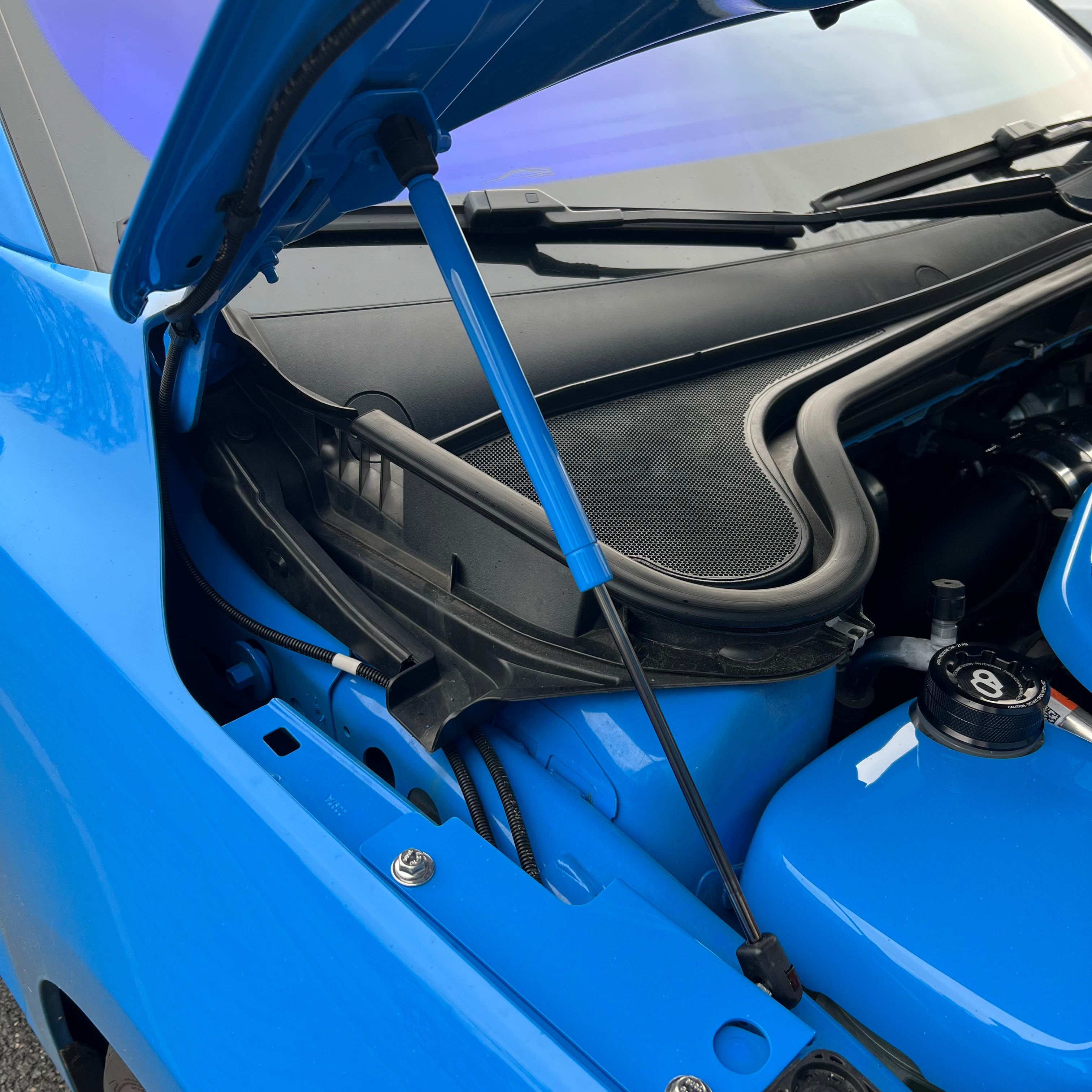 Mk4/4.5 Focus inc ST Gas Strut Bonnet Lifters - Painted Azure Blue