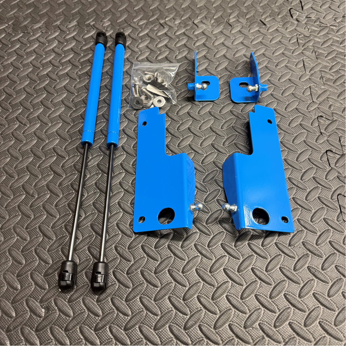 Mk4/4.5 Focus inc ST Gas Strut Bonnet Lifters - Painted 