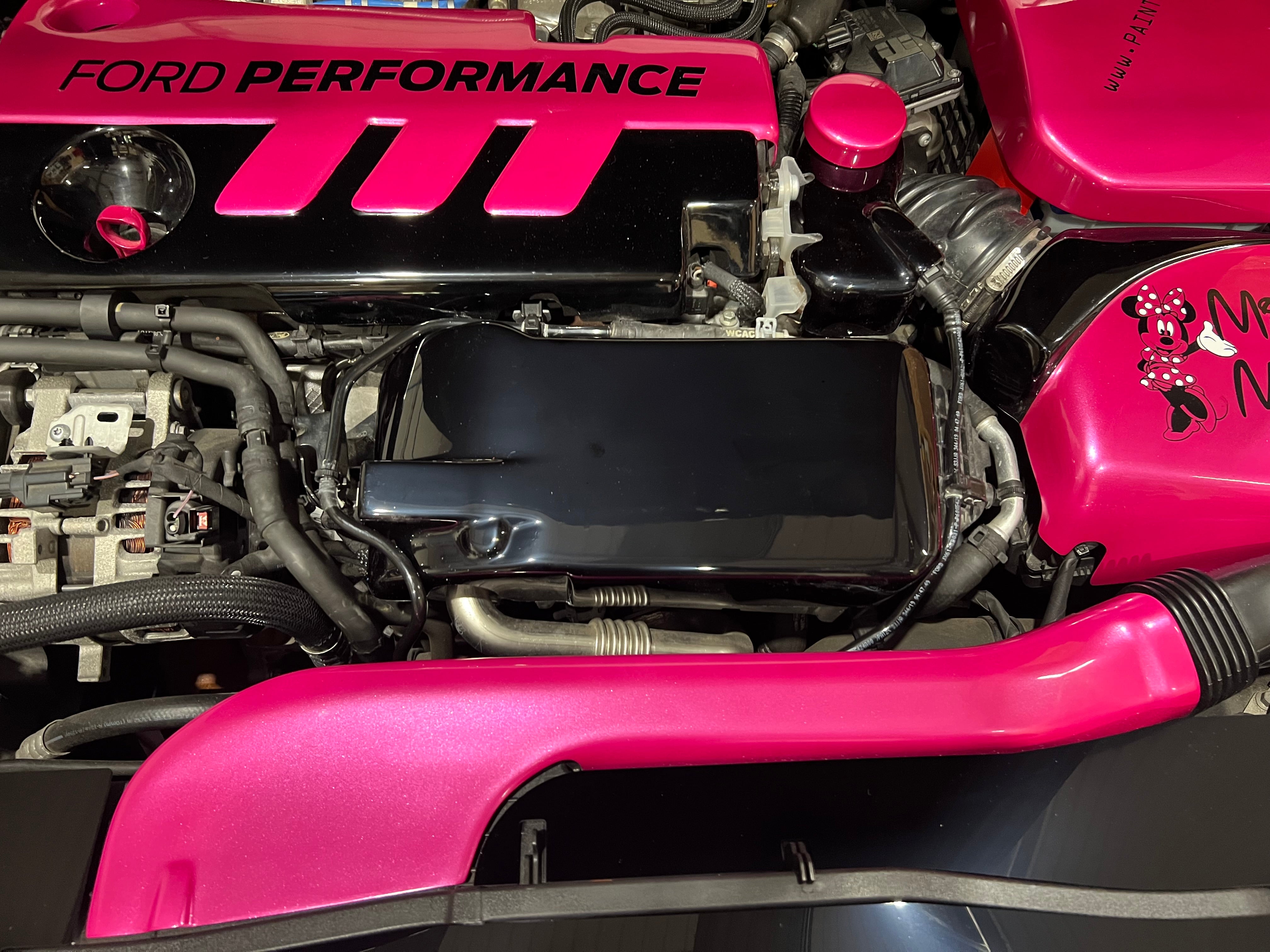 Proform Charge Cooler Cover - Mk4 Ford Focus ST Diesel (Plastic Finishes)